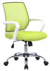 Bürostuhl Lili grün