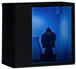 Wandelement Switch WW 5 LED - schwarz