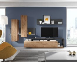 TV-Regal Bota - Anthrazit/Ribbec Eiche - 24JRFG09