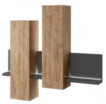 Hängeschrank Bota - Anthrazit/Ribbec Eiche - 24JRFG04