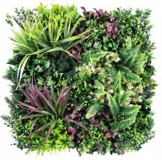 Grüne Platte Esencja II