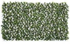 Balkonabdeckung Lorbeer-Weide