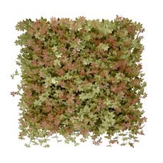 Wandbild mit farbenfrohen Jiaogulan-Pflanzen (50x50 cm)