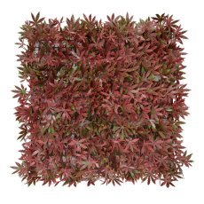 Pflanzenbild mit Rotahorn (50x50 cm)