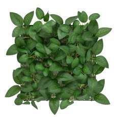 Paneel Efeu II (33x33 cm)