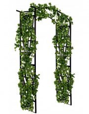 Rosenbogen - PERG-N9505