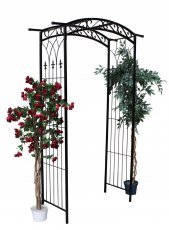 Rosenbogen – DEN9043
