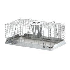Mause- und Rattenfalle - SET3590
