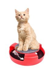 Katzenspielzeug mit Maus - CAT0526