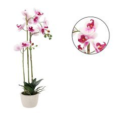 Künstliche Orchidee – weiß-rosa, 70 cm, 2er-Pack – HID4771