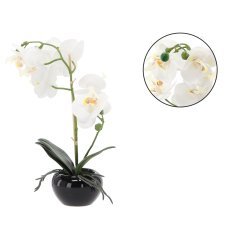 Künstliche Orchidee – weiß, 30 cm, 6er-Pack – HID4795