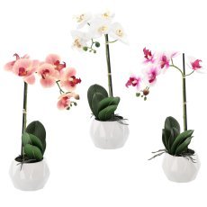 Kunstblume – Orchidee Mix, 3 Farben, 42 cm, Verpackung = 6 Stk *4818