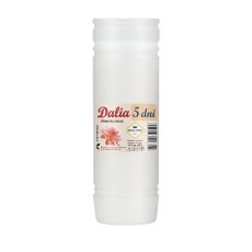 Komplettset: 10 Stück Paraffineinsätze Dalia 19 cm / 120 h *6352*3040