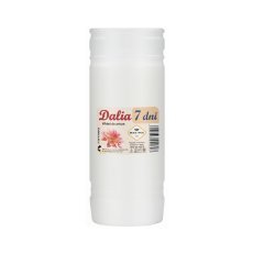 Kpl.10 Stück Paraffineinsätze Dalia 19 cm/168 h *2609*2603
