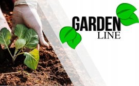 Chomik - PLANDE 2 x 3 M (+/- 5%) 70GSM 3%UV GRÜN *4126