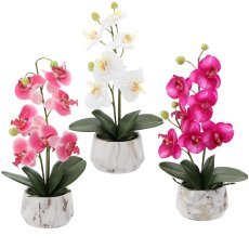 Chomik - Künstliche Orchidee, 37 cm, 25 Stk. im Pack – HID2998
