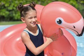 Chomik - Spannbarer Schwimmring – Flamingo - BES41525