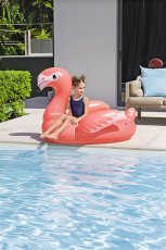Chomik - Spannbarer Schwimmring – Flamingo - BES41525