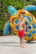 Chomik - Spannendes Schwimmtier – Schildkröte - BES41523