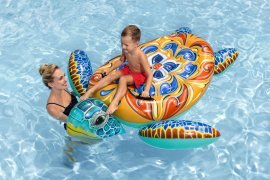Chomik - Spannendes Schwimmtier – Schildkröte - BES41523