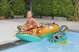 Chomik - Spannendes Schwimmtier – Schildkröte - BES41523