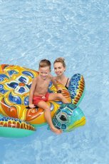 Chomik - Spannendes Schwimmtier – Schildkröte - BES41523
