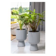 Chomik - Topf Keli Mika 40 cm – Platin – FOM7729