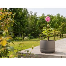 Chomik - Topf Koma 48 cm – Anthrazit - LAM21112