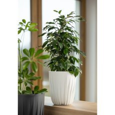 Chomik - Topf Mira 39 cm – weiß – LAM59119