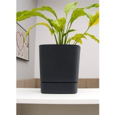 Chomik - Topf mit Untersetzer Clima 30x30 cm - LAM41435