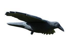 Vogelschreck Rabe – PTA9172