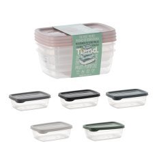 Chomik - Set aus 3 rechteckigen Aufbewahrungsboxen Trend Box 0,6 L – HOB021015
