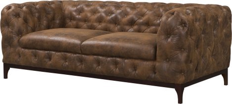 Gobi 03 (braune Beine)