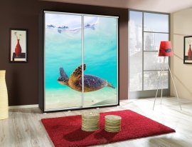 Kleiderschrank mit Schiebetüren mit Grafik Schildkröte 2 Penelopa 155 cm - Kastanie Wenge